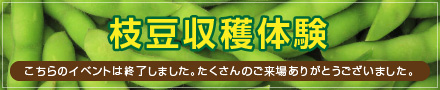 枝豆収穫体験終了