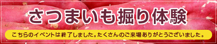 さつまいも掘り体験終了