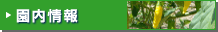 園内情報