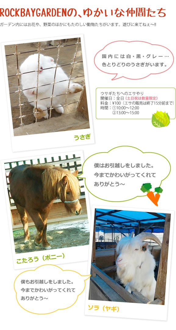 ロックベイガーデンのゆかいな仲間たち